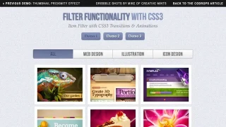 Filter Functionality with CSS3