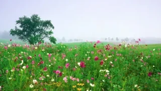 jquery图片滑动排列 jquery图片滑动排列