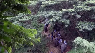 jQuery内容滚动条拖拽滑动解锁代码 jQuery内容滚动条拖拽滑动解锁代码