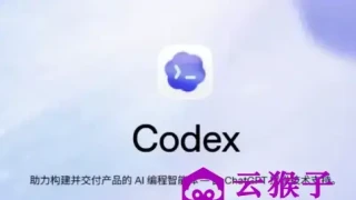 Codex零基础入门到实战全系列教程 Codex零基础入门到实战全系列教程