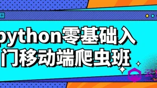 python零基础入门移动端爬虫班