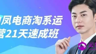 白凤电商淘系运营21天速成班 白凤电商淘系运营21天速成班