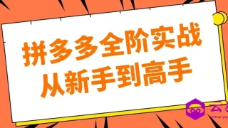 拼多多全阶实战从新手到高手 拼多多全阶实战从新手到高手