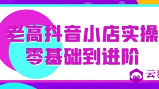 老高抖音小店实操零基础到进阶 老高抖音小店实操零基础到进阶