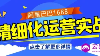 阿里巴巴1688精细化运营实战 阿里巴巴1688精细化运营实战