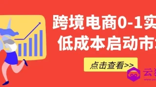 跨境电商0-1实战低成本启动市场 跨境电商0-1实战低成本启动市场
