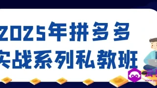 2025年拼多多实战系列私教班