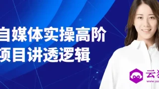 AI自媒体实操高阶项目讲透逻辑 AI自媒体实操高阶项目讲透逻辑