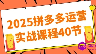 2025拼多多运营实战课程40节