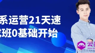 淘系运营21天速成班0基础开始 淘系运营21天速成班0基础开始