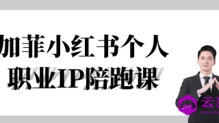加菲小红书个人职业IP陪跑课 加菲小红书个人职业IP陪跑课