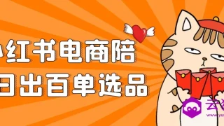 小红书电商陪跑日出百单选品 小红书电商陪跑日出百单选品