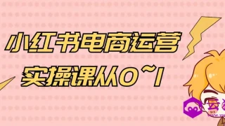 小红书电商运营实操课从0~1 小红书电商运营实操课从0~1