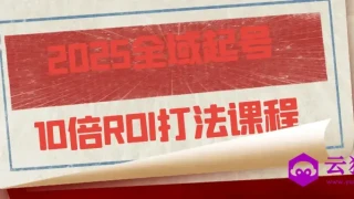 2025全域起号10倍ROI打法课程 2025全域起号10倍ROI打法课程