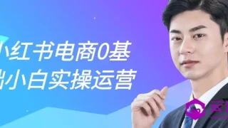 小红书电商0基础小白实操运营 小红书电商0基础小白实操运营