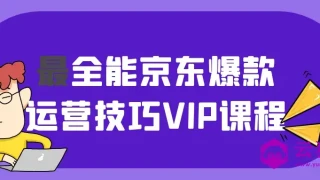 最全能京东爆款运营技巧VIP课程