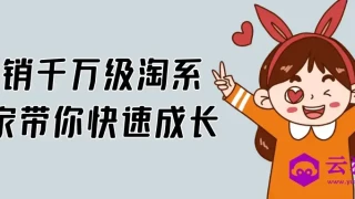 年销千万级淘系商家带你快速成长 年销千万级淘系商家带你快速成长