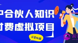 IP合伙人知识付费虚拟项目 IP合伙人知识付费虚拟项目