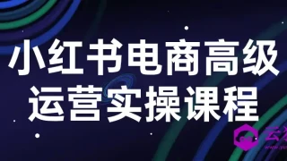 小红书电商高级运营实操课程