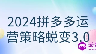 2024拼多多运营策略蜕变3.0