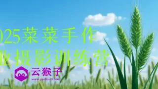 2025菜菜手作专业摄影训练营