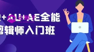 PR+AU+AE全能剪辑师入门班 PR+AU+AE全能剪辑师入门班