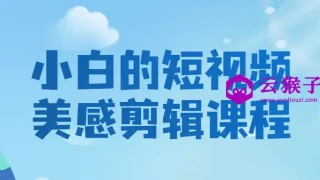 小白的短视频美感剪辑课程 小白的短视频美感剪辑课程