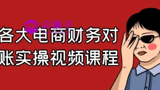 各大电商财务对账实操视频课程 各大电商财务对账实操视频课程