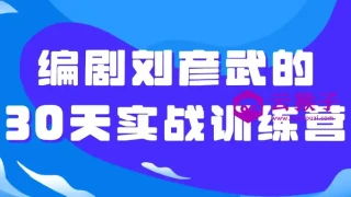 编剧刘彦武的30天实战训练营 编剧刘彦武的30天实战训练营