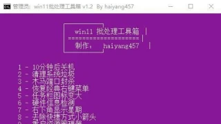 Win11批处理工具箱v1.2 Win11批处理工具箱v1.2