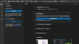 Visual Studio Code（微软免费代码编辑器）v1.81.0