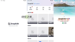 手机AI智能图像编辑器 SnapEdit PRO绿色版 手机AI智能图像编辑器 SnapEdit PRO绿色版