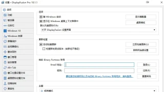 多显示器 DisplayFusion Pro 10.1.1 中文