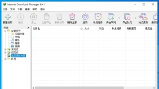 Internet Download Manager 6.41.20 中文