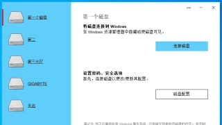 秘密磁盘 Secret Disk Professional 202304 中文