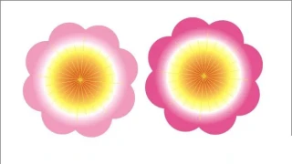 用CorelDRAW鼠绘一朵桃花实例教程