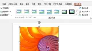 PPT怎么设置图片向下偏移阴影效果