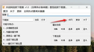 央视频下载器1.0 可选清晰度在线播放下载央视网的所有视频 央视频下载器1.0 可选清晰度在线播放下载央视网的所有视频